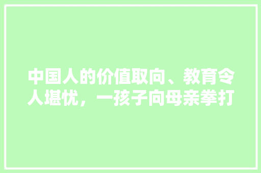 中国人的价值取向、教育令人堪忧，一孩子向母亲拳打脚踢，家庭教育当如何行，孟子试题及答案 专业填报