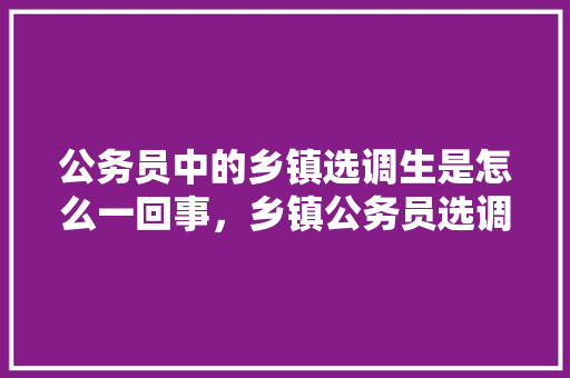 公务员中的乡镇选调生是怎么一回事，乡镇公务员选调考试题及答案 大学排名