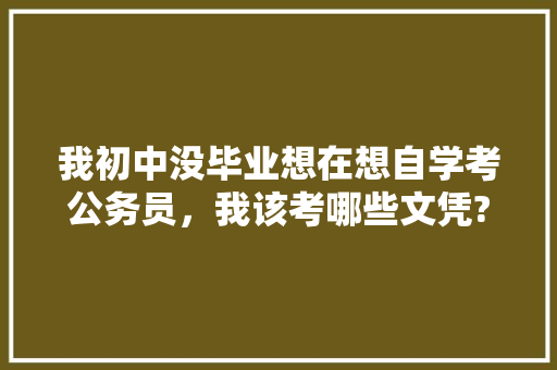 我初中没毕业想在想自学考公务员，我该考哪些文凭?该怎么学习，实在是不想再这样混下去了。跪求大家帮忙，公务员考初中知识 公考知识