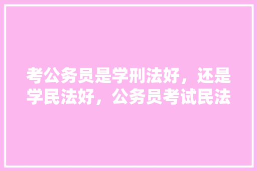 考公务员是学刑法好，还是学民法好，公务员考试民法知识点 建筑考试