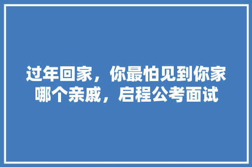 过年回家，你最怕见到你家哪个亲戚，启程公考面试 大学排名