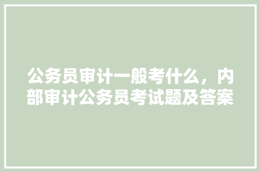 公务员审计一般考什么，内部审计公务员考试题及答案 大学排名
