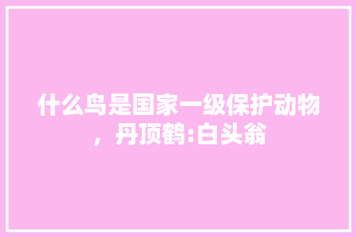 什么鸟是国家一级保护动物，丹顶鹤:白头翁