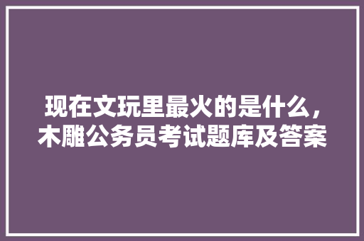 现在文玩里最火的是什么，木雕公务员考试题库及答案 现在文玩里最火的是什么，木雕公务员考试题库及答案 大学排名