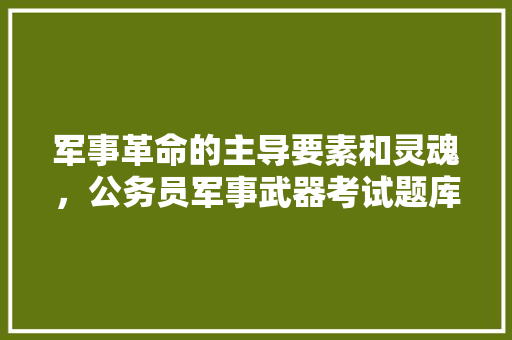军事革命的主导要素和灵魂，公务员军事武器考试题库及答案 教育科普