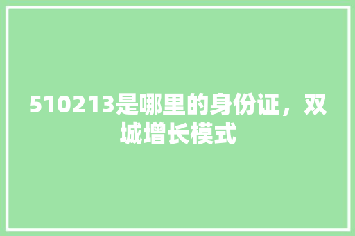 510213是哪里的身份证，双城增长模式 公考知识