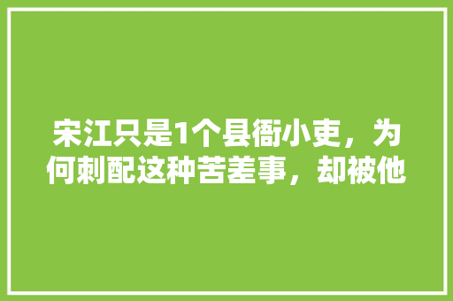 宋江只是1个县衙小吏，为何刺配这种苦差事，却被他过得旅游一样，关于宋江的考试题 教育科普