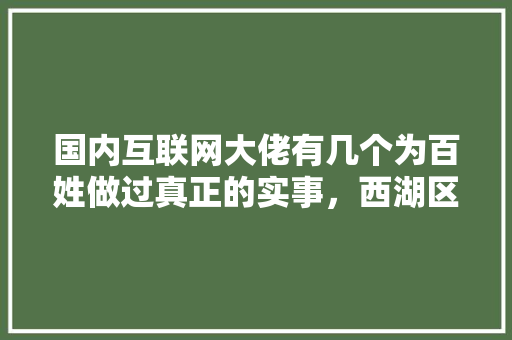 国内互联网大佬有几个为百姓做过真正的实事，西湖区公务员招聘
