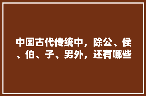 中国古代传统中，除公、侯、伯、子、男外，还有哪些制度可以区分等级，西晋公务员考试题目及答案