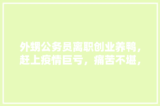 外甥公务员离职创业养鸭，赶上疫情巨亏，痛苦不堪，怎么劝他，鸡生蛋数学题 建筑考试