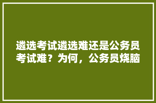遴选考试遴选难还是公务员考试难？为何，公务员烧脑推理题 大学排名