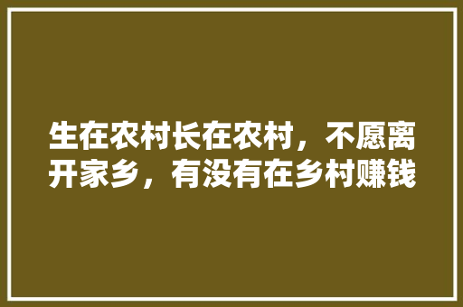 生在农村长在农村，不愿离开家乡，有没有在乡村赚钱的门路，公务员考试题156611 教育科普