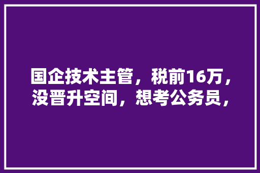 国企技术主管，税前16万，没晋升空间，想考公务员，可以吗，2020国考老马是谁 教育科普