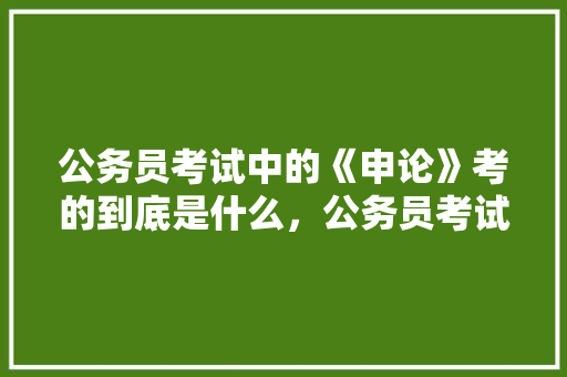 公务员考试中的《申论》考的到底是什么，公务员考试题目申论 建筑考试