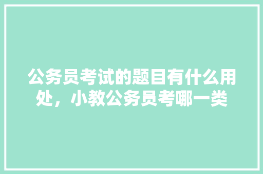 公务员考试的题目有什么用处，小教公务员考哪一类 公考知识