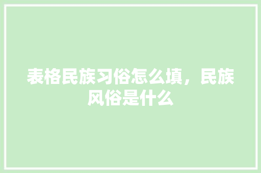 表格民族习俗怎么填，民族风俗是什么