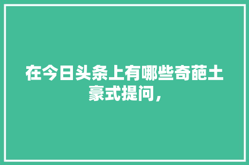 在今日头条上有哪些奇葩土豪式提问， 公考知识