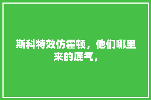 斯科特效仿霍顿，他们哪里来的底气， 建筑考试