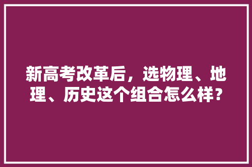 新高考改革后，选物理、地理、历史这个组合怎么样？你有什么看法，1995年公务员考试