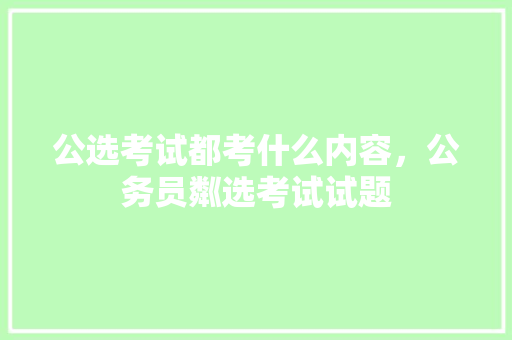 公选考试都考什么内容，公务员粼选考试试题 教育科普