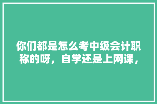 你们都是怎么考中级会计职称的呀，自学还是上网课，北海公务员考试题型分布 大学排名