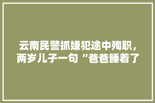 云南民警抓嫌犯途中殉职，两岁儿子一句“爸爸睡着了”让人泪目，你有被感动吗，会泽公务员考试题库及答案 大学排名