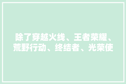 除了穿越火线、王者荣耀、荒野行动、终结者、光荣使命，还有什么好玩的游戏，谢霆锋招聘 大学排名