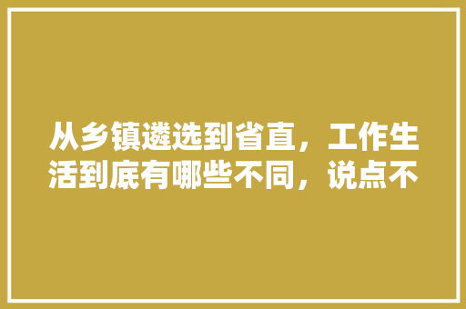 从乡镇遴选到省直，工作生活到底有哪些不同，说点不同的感受，发改局遴选笔试真题 公考知识