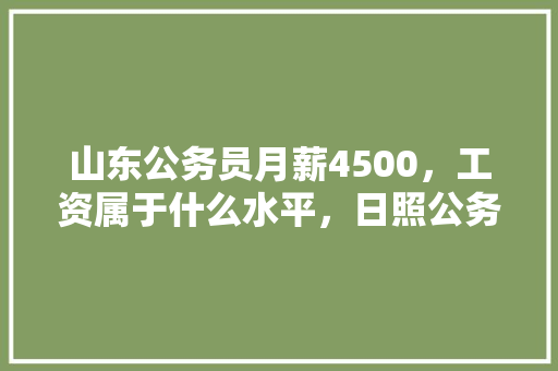 山东公务员月薪4500，工资属于什么水平，日照公务员选拔考试题及答案 专业填报