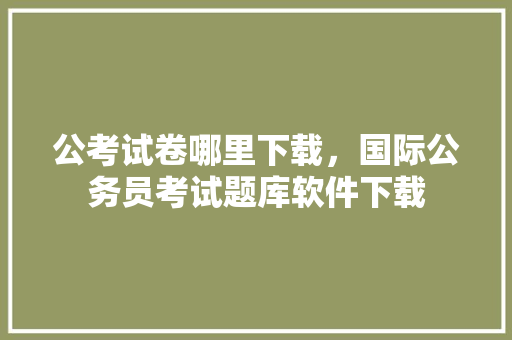 公考试卷哪里下载，国际公务员考试题库软件下载 大学排名