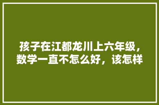 孩子在江都龙川上六年级，数学一直不怎么好，该怎样提升，龙川公务员考试题目及答案 建筑考试