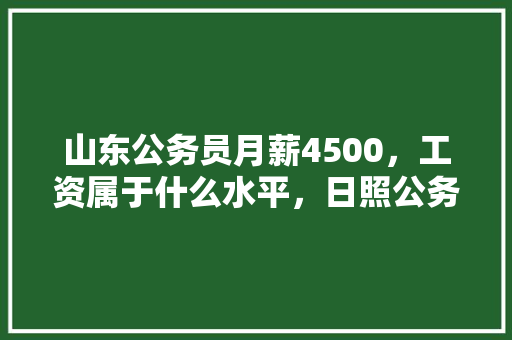山东公务员月薪4500，工资属于什么水平，日照公务员考试题及答案 建筑考试