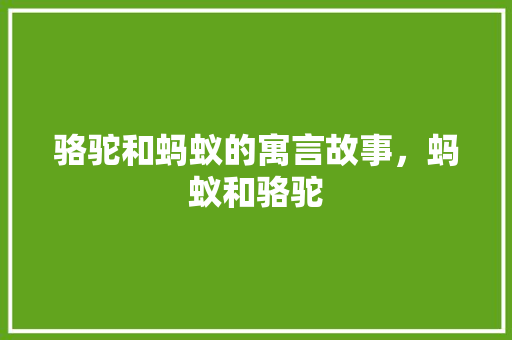 骆驼和蚂蚁的寓言故事，蚂蚁和骆驼 专业填报