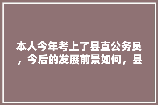 本人今年考上了县直公务员，今后的发展前景如何，县直公务员考试题库及答案 大学排名