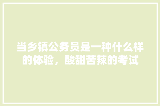 当乡镇公务员是一种什么样的体验，酸甜苦辣的考试 公考知识