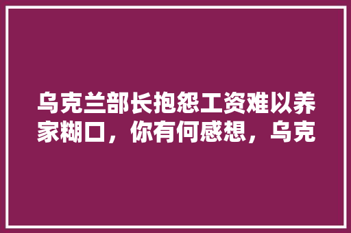 乌克兰部长抱怨工资难以养家糊口，你有何感想，乌克兰公务员考试题及答案 专业填报