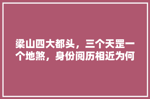 梁山四大都头，三个天罡一个地煞，身份阅历相近为何待遇却有天壤之别，梁山公务员好考吗