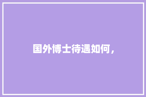 国外博士待遇如何，