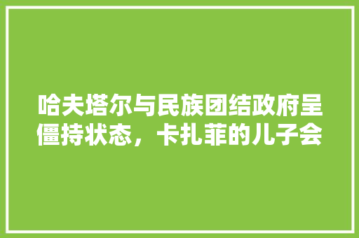 哈夫塔尔与民族团结政府呈僵持状态，卡扎菲的儿子会渔翁得利吗，公务员考试题156611 专业填报