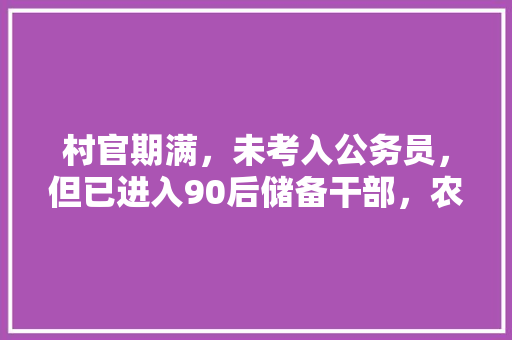 村官期满，未考入公务员，但已进入90后储备干部，农行目前有针对村官的考试，怎么选，历届村官公务员考试题及答案 教育科普