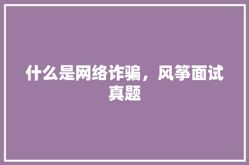 什么是网络诈骗，风筝面试真题 专业填报