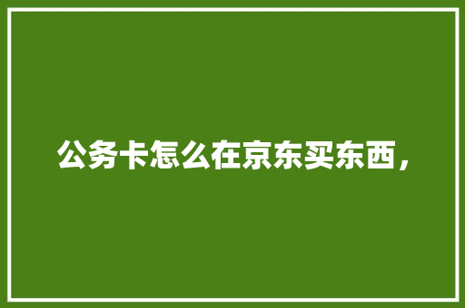公务卡怎么在京东买东西， 大学排名
