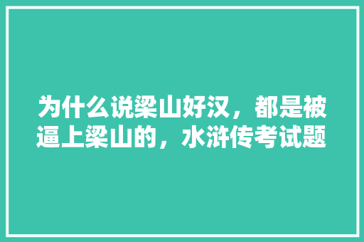 为什么说梁山好汉，都是被逼上梁山的，水浒传考试题型