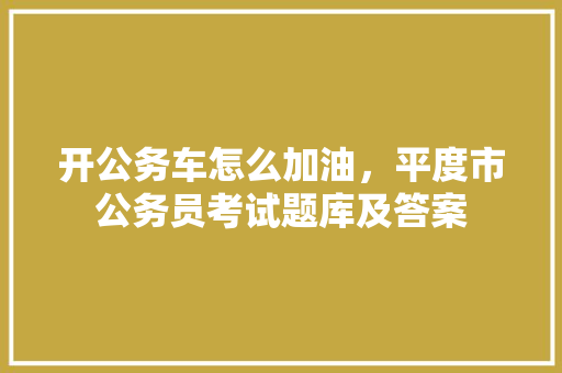 开公务车怎么加油，平度市公务员考试题库及答案 大学排名