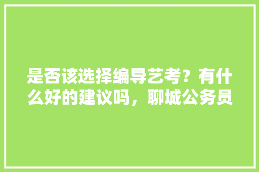 是否该选择编导艺考？有什么好的建议吗，聊城公务员考试题型分布 大学排名