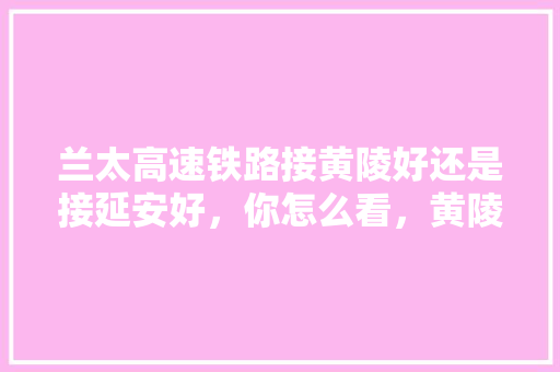 兰太高速铁路接黄陵好还是接延安好，你怎么看，黄陵公务员考试题目及答案 专业填报