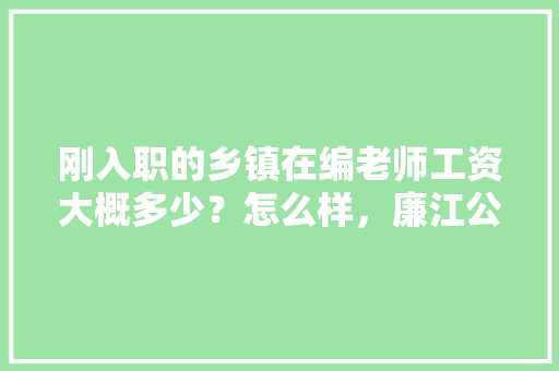 刚入职的乡镇在编老师工资大概多少？怎么样，廉江公务员考试题目