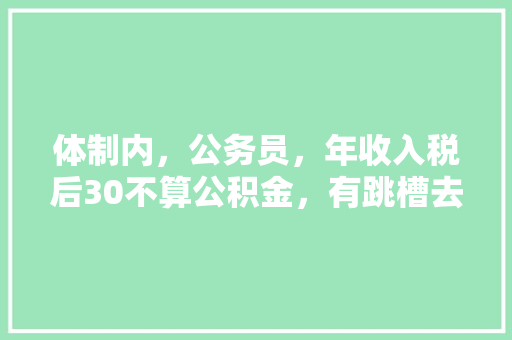 体制内，公务员，年收入税后30不算公积金，有跳槽去地产企业60w年薪的机会，或者是律师，考虑吗，公务员跳槽严重面试题 公考知识