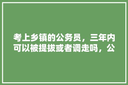 考上乡镇的公务员，三年内可以被提拔或者调走吗，公务员择优选调