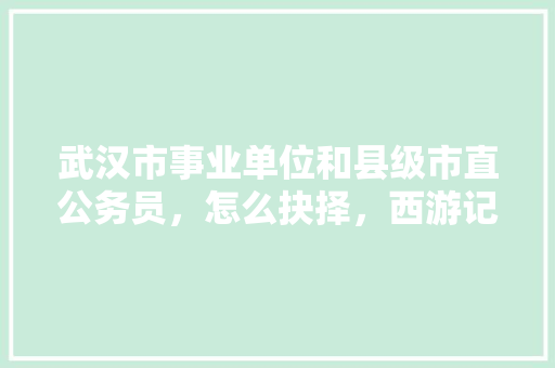 武汉市事业单位和县级市直公务员，怎么抉择，西游记中,唐僧,孙悟空,公务员考试 建筑考试